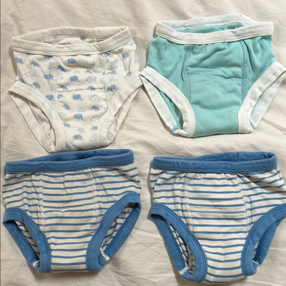 Blue and White Organic Cotton Underwear Set